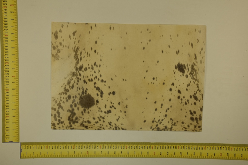 Formato moteado 53 X 37 2ª ID.010