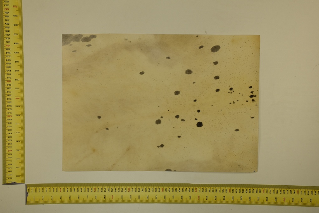 Formato moteado 53 X 37 2ª ID.026