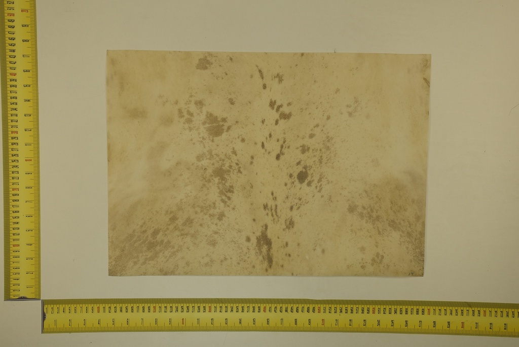 Formato moteado 53 X 37 2ª ID.047