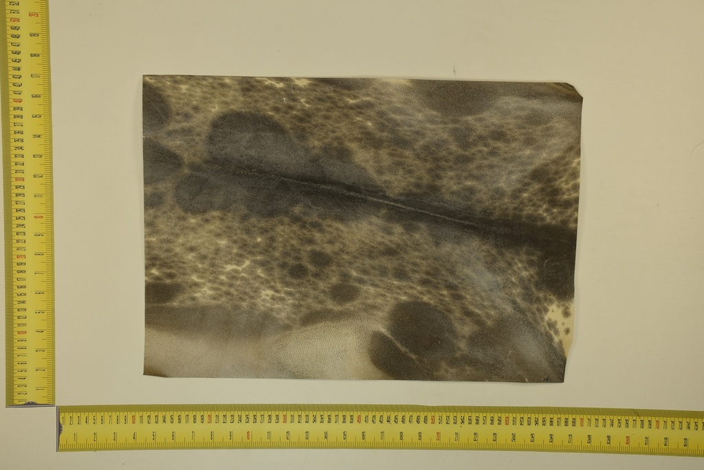 Formato moteado 53 X 37 2ª ID.058