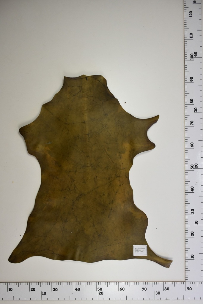 Pergamino tintado verde oliva 30-000-01-02