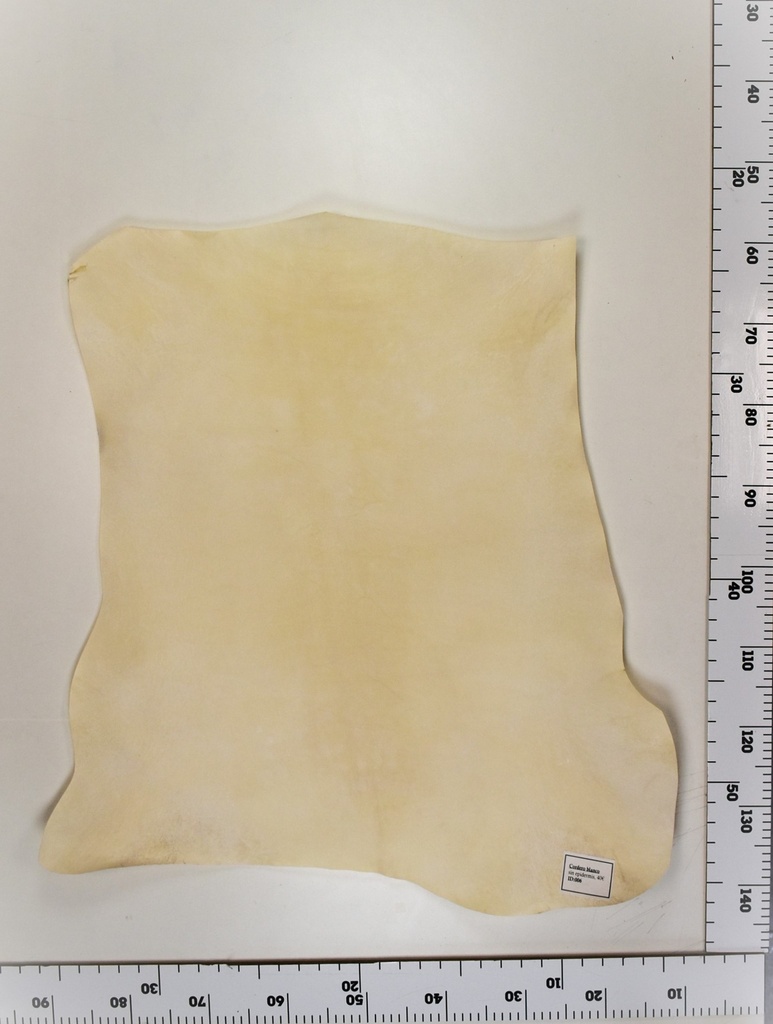 Cordero blanco impresión digital ID:006