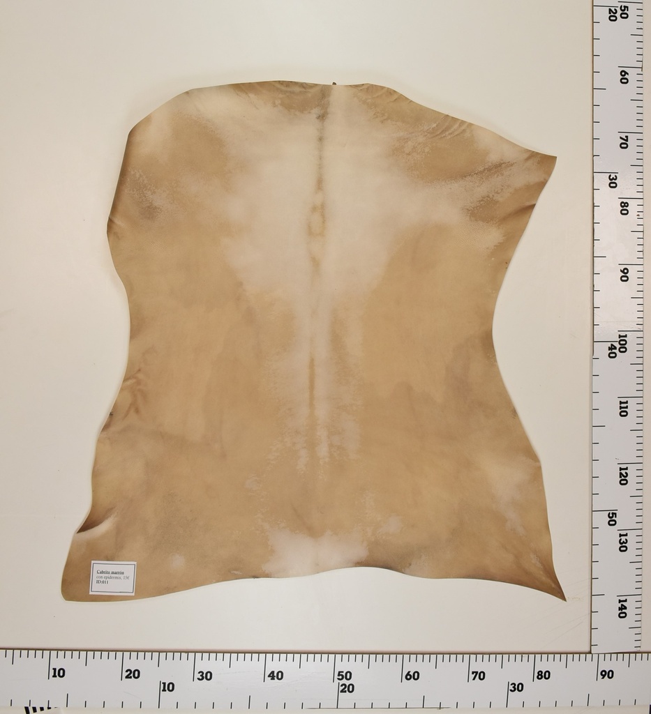 Cabrito Marrón ID011