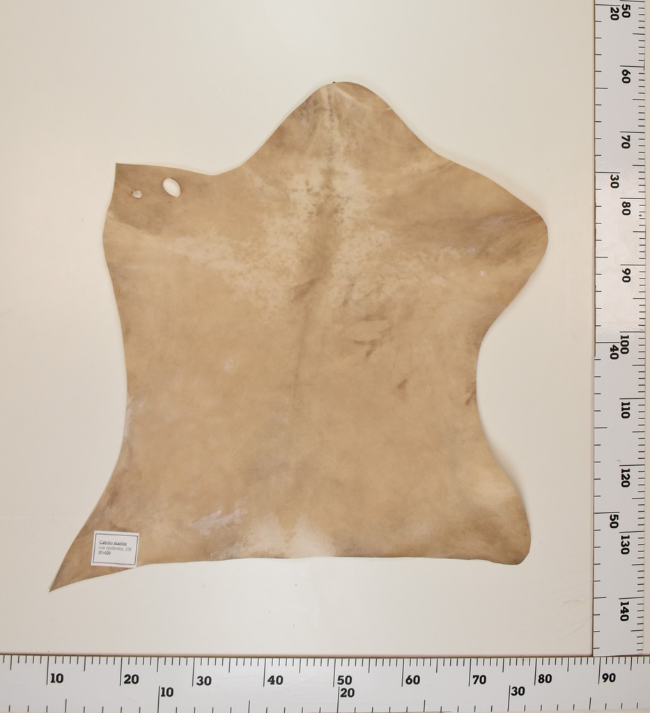 Cabrito Marrón ID020