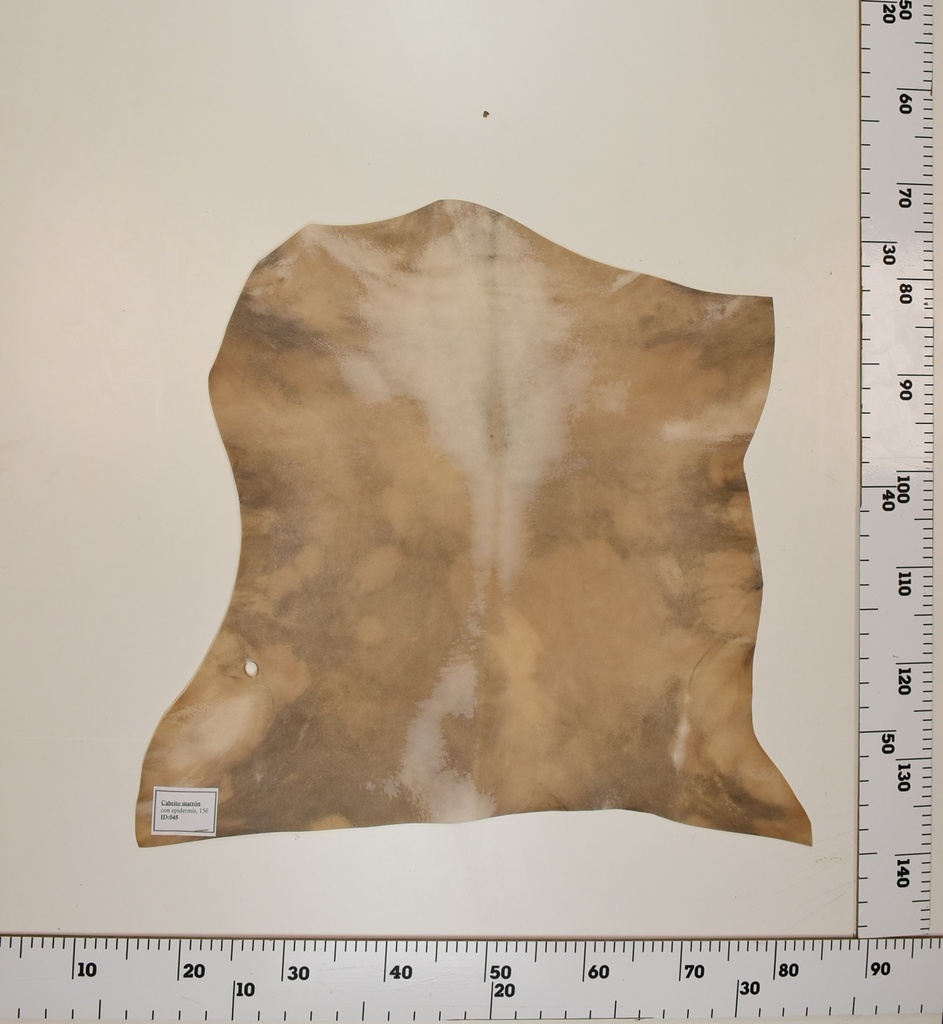 Cabrito Marrón ID045