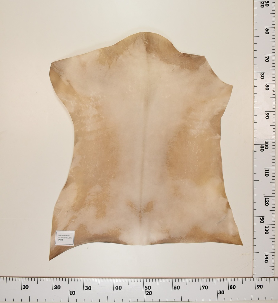 Cabrito Marrón ID046