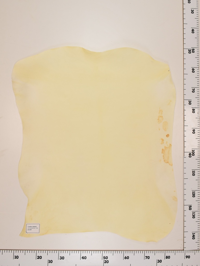 Cordero Natural ID039