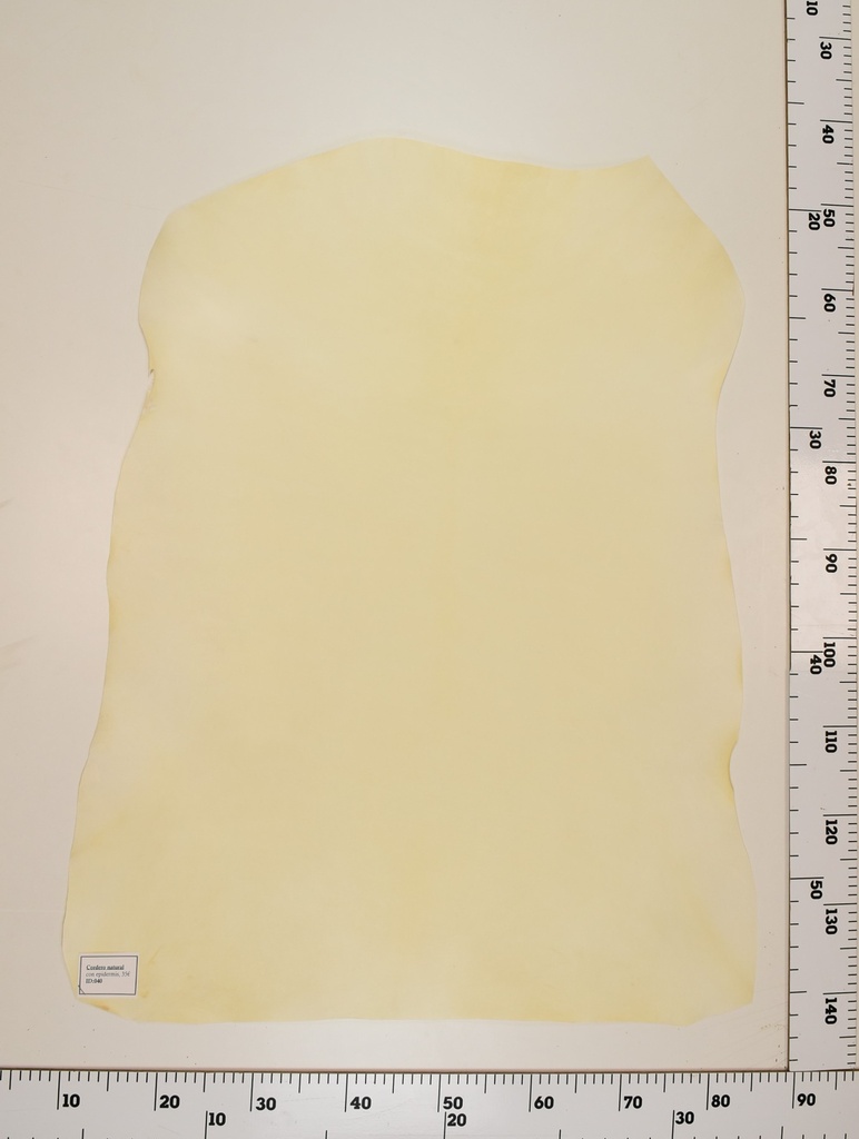 Cordero Natural ID040