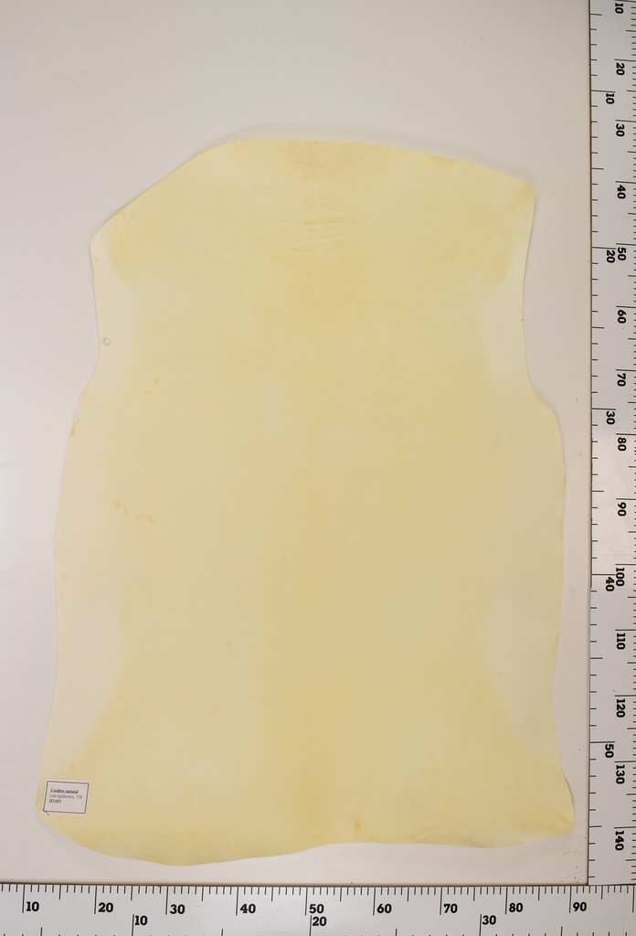 Cordero Natural ID051