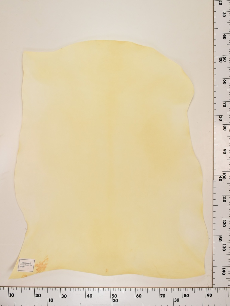 Cordero Natural ID052