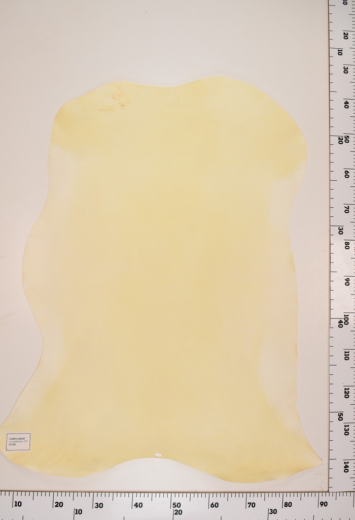 Cordero Natural ID062