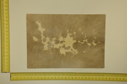 [22-5337-26-039] Formato moteado 53 X 37 2ª ID.039