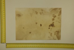 [22-5337-26-041] Formato moteado 53 X 37 2ª ID.041