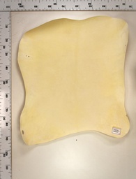 [22-0000-02-077] Cordero Blanco 22-0000-02-077