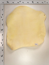 [22-0000-02-078] Cordero Blanco 22-0000-02-078