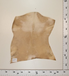 [24-0001-015] Cabrito Marrón ID015