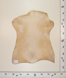 [24-0001-023] Cabrito Marrón ID023