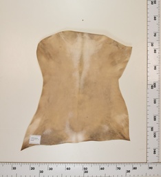 [24-0001-025] Cabrito Marrón ID025