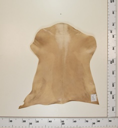 [24-0001-031] Cabrito Marrón ID031