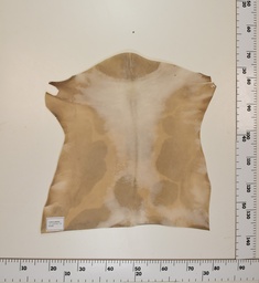 [24-0001-032] Cabrito Marrón ID032