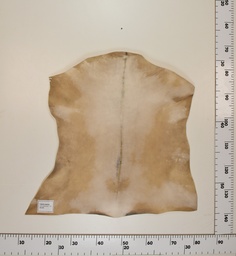 [24-0001-035] Cabrito Marrón ID035