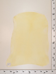 [22-0001-00-034] Cordero Natural ID034