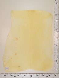 [22-0001-00-041] Cordero Natural ID041