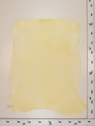 [22-0001-00-043] Cordero Natural ID043