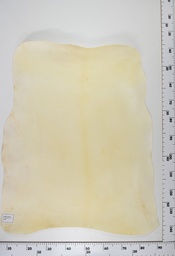 [22-0001-00-083] Cordero Natural ID083