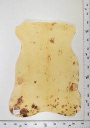 [22-0001-14-017] Cordero Envejecido ID017