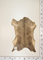 [22-0001-17-017] Cordero Negro ID017